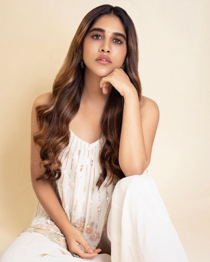 nabha natesh 3